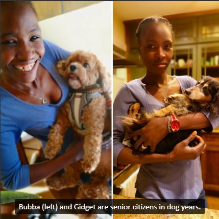 Rejoice, a black woman, holding two old dogs