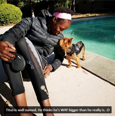 Titus the Yorkie Yorkshire Terrier by pool with black woman, Rejoice
