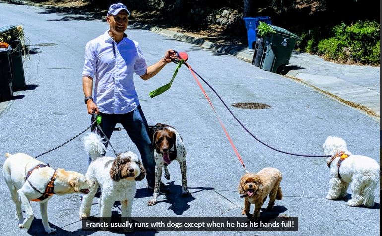 Francis walking with 5 dogs